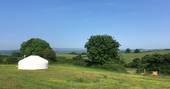 Enjoy spectacular countryside views from Great Links yurt at Devon Yurts