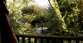 Hot tub in the trees