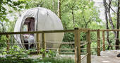 A look into the tree tent at Pheasants Retreat in Devon