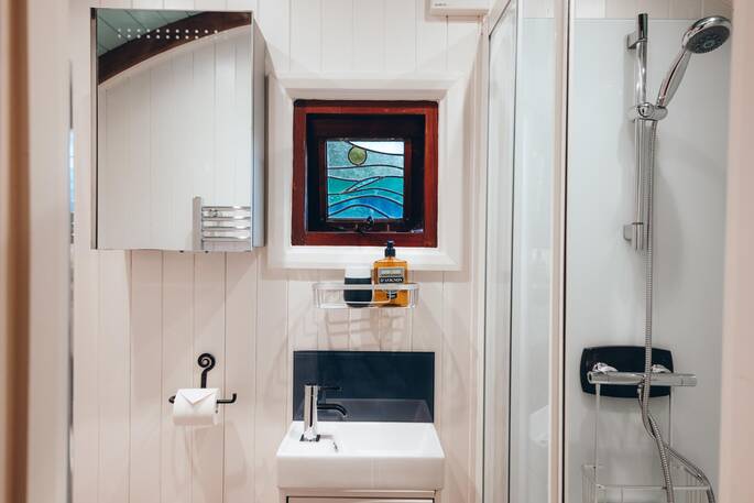 Bathroom with a hot shower, sink and flushing toilet