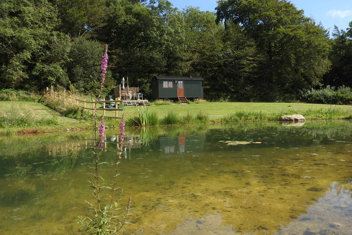 Elsie May shepherd's hut pond, Torrington, Devon