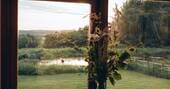 view to the lake