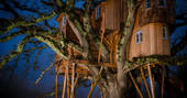 treetops treehouse by night