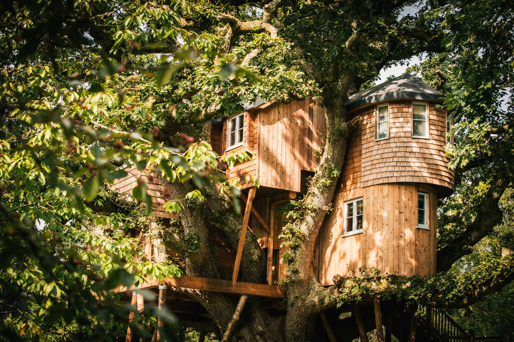 Treetops Treehouse Treehouse in Devon Canopy & Stars