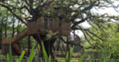 Watch the video of Treetops Treehouse