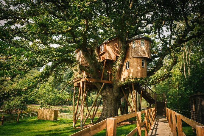 treetops treehouse pathway to treehouse