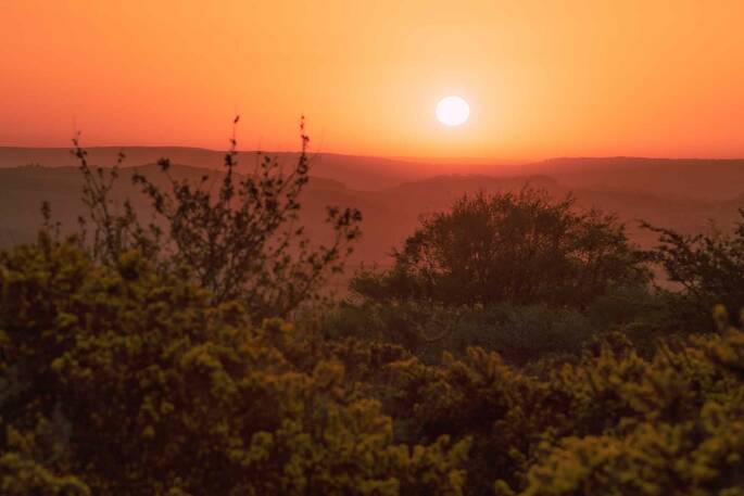 Sunset view from the site