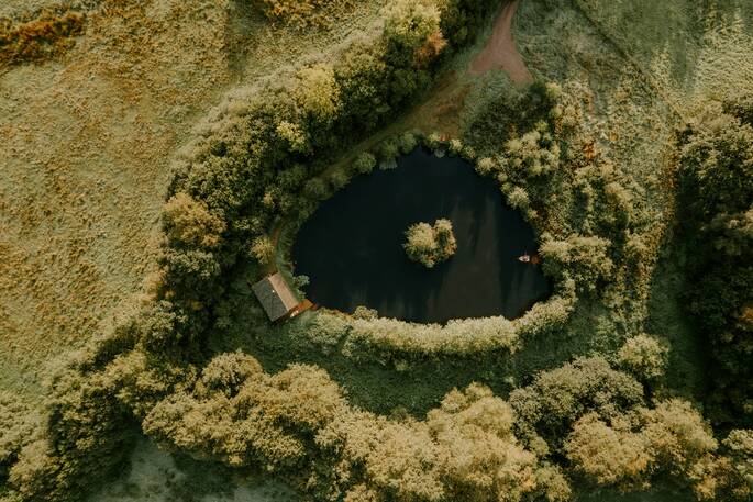 Aerial image of Gosling Lodge