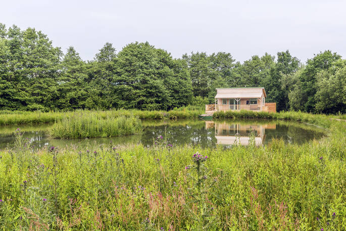 Gosling Lodge cabin across the private pond