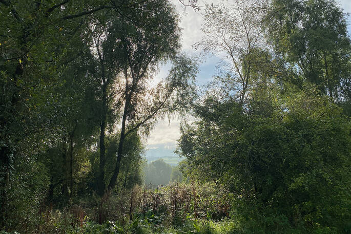 Great Burrow Cottage views