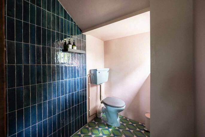 Bathroom with flushing toilet