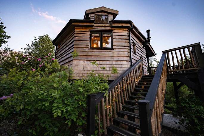 Stairs up to treehouse