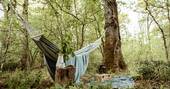 Hush cabin truffle dome - hammock, Honeydown at Hatherleigh, Devon