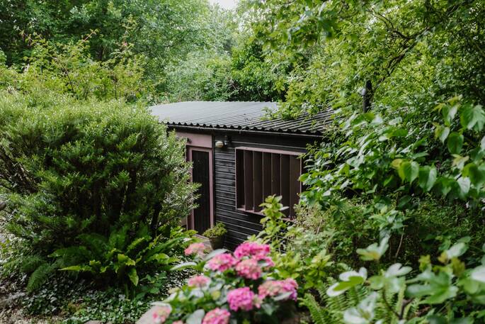 Cabin through the bushes