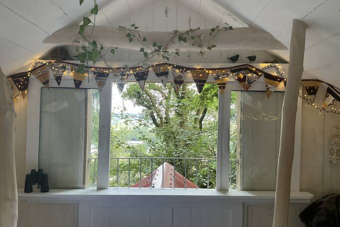 Bedroom window 