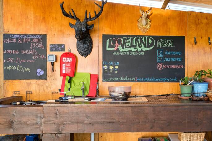 The Loveland Pod geodome kitchen, Hartland, Devon