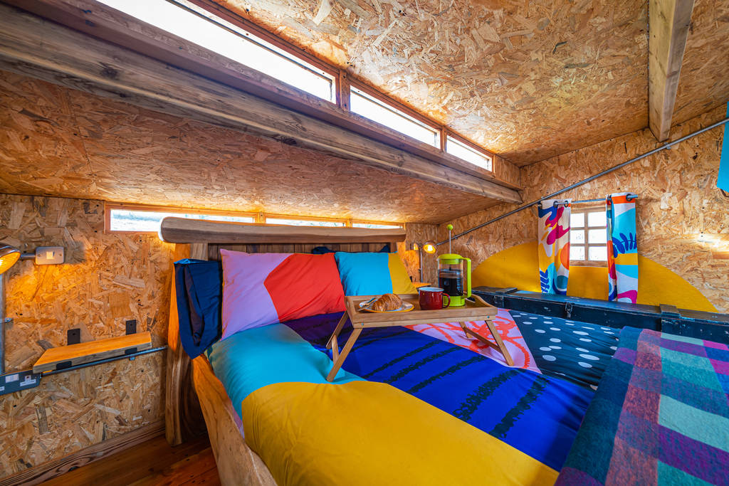 Woods Edge Cabin in Devon Canopy & Stars