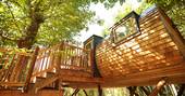 The Hideaway at Pickwell treehouse standing sky-high in the woods at Pickwell Manor in Devon