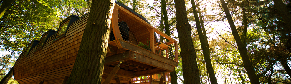 Pickwell Manor treehouses