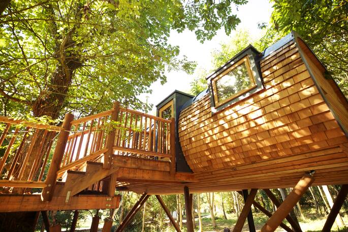 The Hideaway at Pickwell treehouse standing sky-high in the woods at Pickwell Manor in Devon