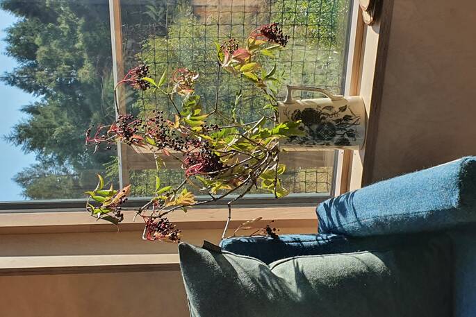 Brock cabin, Forestmill, Clackmannanshire, Scotland (12)