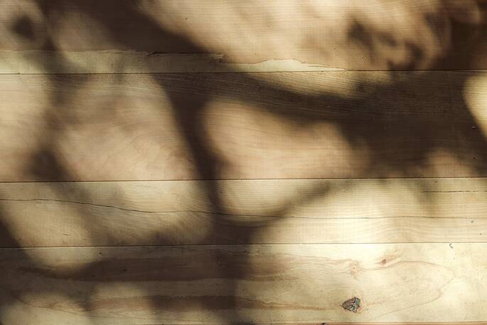 Brock cabin, Forestmill, Clackmannanshire, Scotland (19)