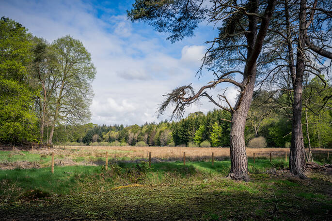 Brock cabin, Forestmill, Clackmannanshire, Scotland (21)