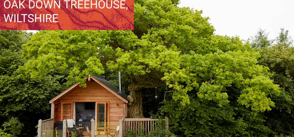 Oak Down Treehouse