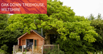 Oak Down Treehouse
