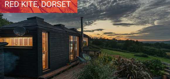 Red Kite