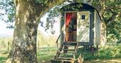 2 - Scorlinch shepherds hut