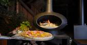 Nest Treehouse pizza oven, Hartland, Devon