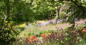 Hang out in the  5 acre National Garden Scheme wildflower garden at Southcombe Barn in Devon