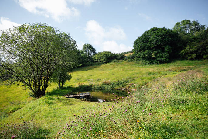 Midsummer Meadow Bed four-poster bed pond at Southcombe Barn, Dartmoor, Devon
