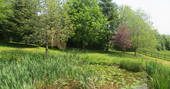 Fleur's Retreat, Sturridge_pod behind tree