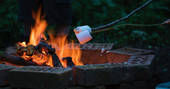 Toasting marshmallows on the fire pit at Fleur's Retreat in Devon