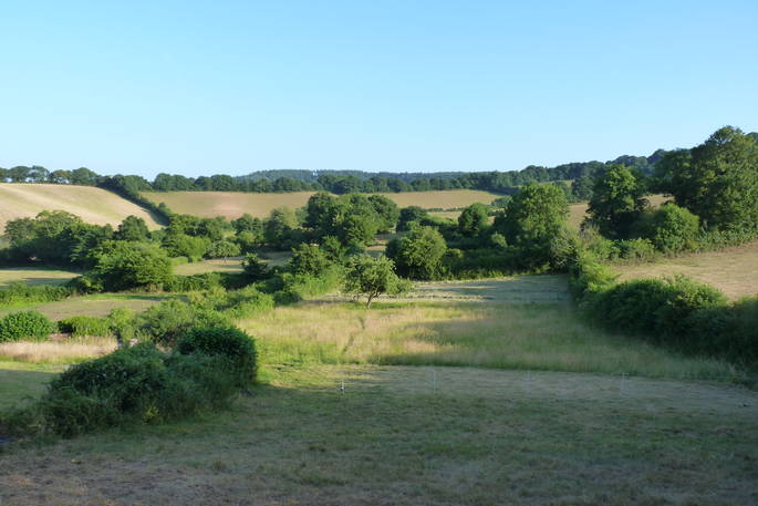 View from Orchard Wagon of Devon