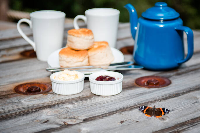 Cream tea and butterfly at Woodmans Wagon