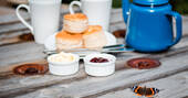 Cream tea and butterfly at Woodmans Wagon