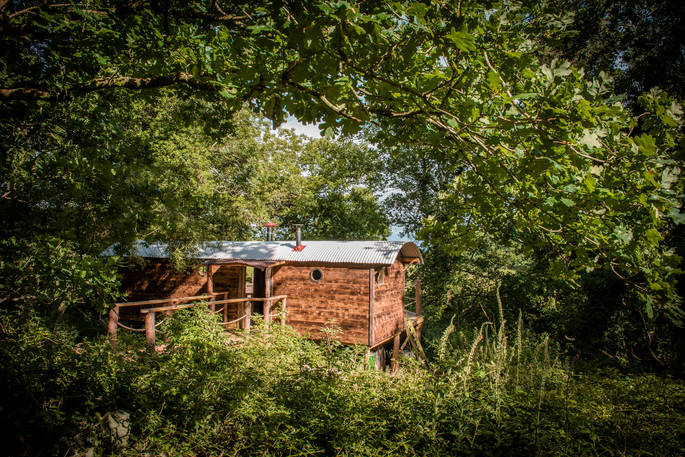 Woodmans Wagon Treehouse - main image