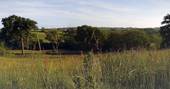 Meadow at Torridge, Welcombe Meadow safari tents, High Bickington, Umberleigh, Devon