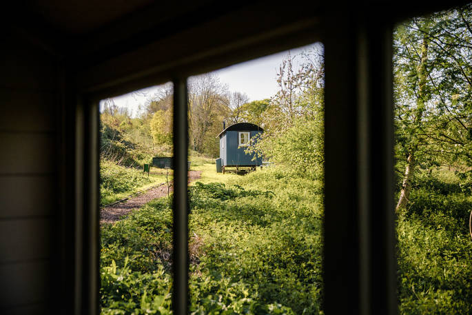 Old Orchard Shepherd's Hut view from the kitchen, West Town Farm, Exeter, Devon