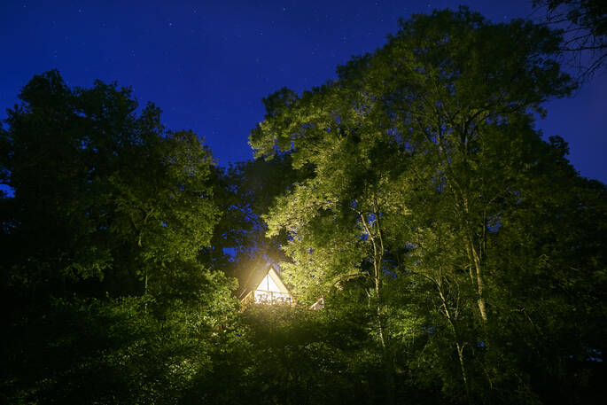 Cleave Treehouse, six and a half metres above the ground at Windout Farm in Devon