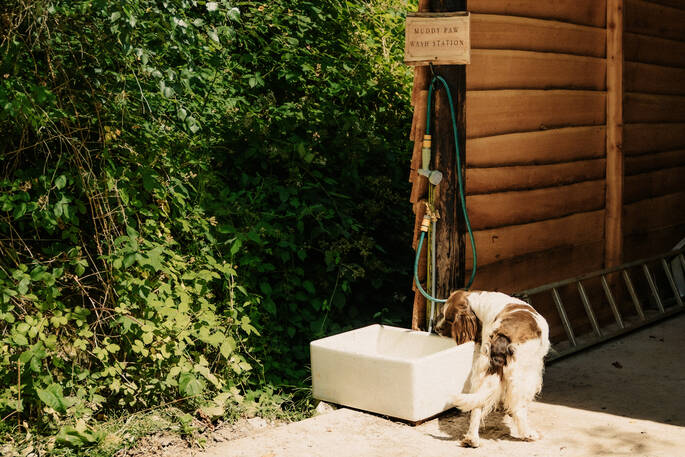 Outdoor tap to wash muddy paws