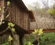 Wolf Wood Treehouses