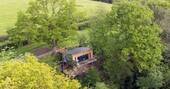 The Wonham Larch, Devon (3)