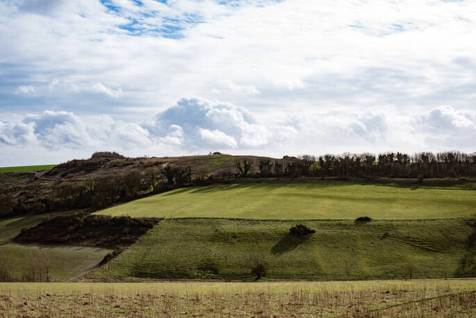 Farm views 