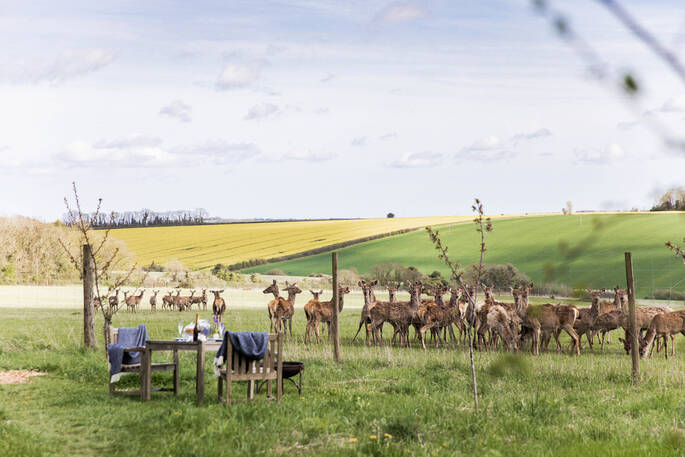 Dine with the locals 