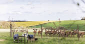 Dine with the locals 