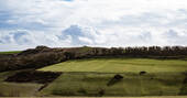 Farm views 